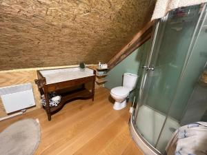 a bathroom with a sink and a toilet at L'abri de rioumaou in Saligos