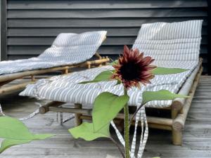 two chairs and a flower on a porch at Charming Cottage Close To Smidstrup Beach in Gilleleje
