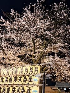 Gambar di galeri bagi HOTEL AMANEK Asakusa Sakurabashi di Tokyo +13 gambar