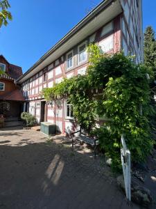 a building with a bench in front of it at Bergfohlenhof in Höchst im Odenwald