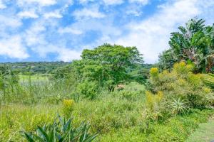 a field of grass with trees in the background at Baluwatu 10, Zimbali Estate by Euphoric Leisure in Ballito