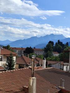 una vista di una città con le montagne sullo sfondo di Urban Mountain House a Karpenision