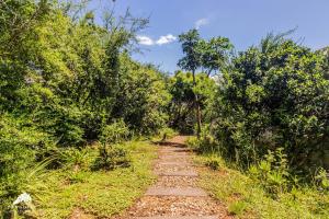 a path in the middle of a field with trees at Aleah, Cathkin Estates by Euphoric Leisure in Champagne Valley