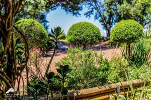 a garden with a bunch of bushes and flowers at Aleah, Cathkin Estates by Euphoric Leisure in Champagne Valley