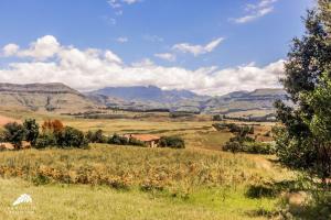 a field of grass with mountains in the background at Aleah, Cathkin Estates by Euphoric Leisure in Champagne Valley