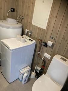 Et badeværelse på Traditional Cabin In Nøsterbølia + 8 billeder