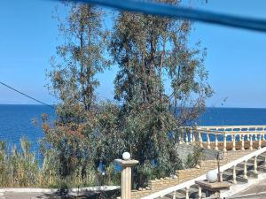 a tree on the side of a balcony with the ocean at Petalides Studios in Livadáki