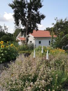 Zahrada ubytování Farm House With Deer Enclosure