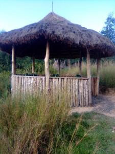 Zahrada ubytování ImuHira Campsite + 5 fotografií