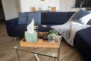 a living room with a blue couch and a glass table at Appartement am Hostertberg 1 in Simmerath