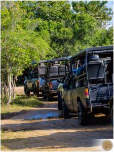 Fotografie z fotogalerie ubytování Wilpattu Safari Resort v destinaci Nochchiyagama + 37 fotografií