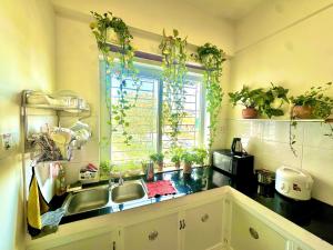 a kitchen with a sink and a window with plants at SARAH HOMESTAY in Thôn Lại Thê +38 photos