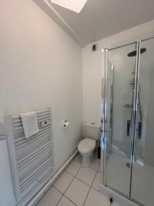 ein Badezimmer mit Dusche und Toilette in der Unterkunft Villa Médicis Besançon in Besançon + 10 Fotos