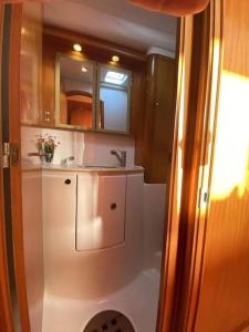 Koupelna v ubytování Catamaran Lagoon 440 Calypso