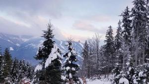 Príroda v okolí apartmánu