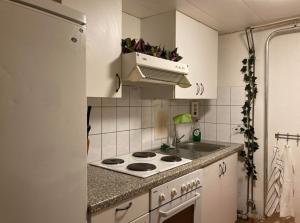 a small kitchen with a stove and a sink at Öckerö Bed and Breakfast in Öckerö
