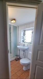 a bathroom with a toilet and a sink at Öckerö Bed and Breakfast in Öckerö +24 photos