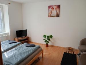 a living room with a bed and a tv at Apartmán Trencan FREE PARKING CITY CENTRE in Trenčín