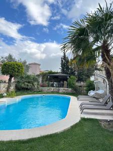 - une piscine avec 2 chaises et un palmier dans l'établissement Villa Palm Foçaköy, à Foça