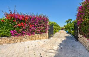 Gorgeous Home In Noto外面的花园