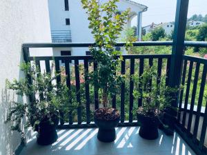 Ein Balkon oder eine Terrasse in der Unterkunft Apartment Mouette