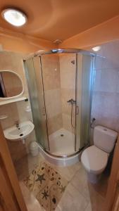 a bathroom with a shower and a toilet and a sink at Noclegi u Danuty in Groń +22 photos