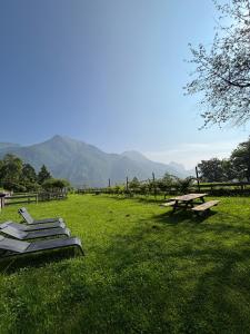 un champ avec des bancs et des tables de pique-nique dans l'herbe dans l'établissement Casa Viola, à Ledro