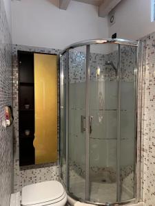a shower with a toilet in a bathroom at Rossi Lake Family in Oliveto Lario