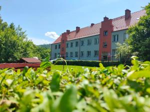 een rij gebouwen in een park met een haag bij Gniazdko Czarodzieja in Jedlina-Zdrój