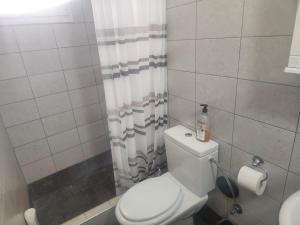 KattavíaにあるLaertis Studioのトイレとシャワーカーテン付きのバスルーム +14枚の写真