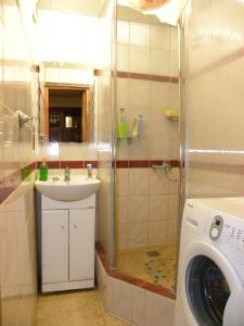 a bathroom with a shower and a sink and a washing machine at Kozatski Apartments in Lviv