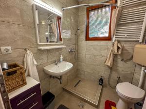 Vannituba majutusasutuses Cozy room with a bathroom +7 fotot