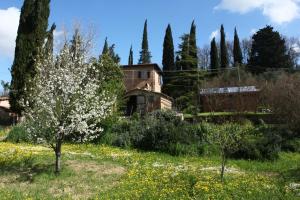 a house in a field with trees and flowers at La Fanciullaccia in Capannoli +3 photos