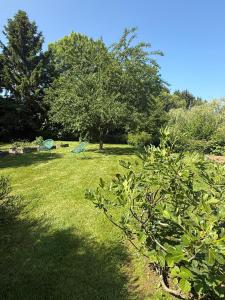 a park with two green chairs in the grass at Arduinna's Nest B&B in Neufchâteau