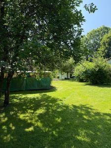 a green yard with a tree in the middle at Arduinna's Nest B&B in Neufchâteau
