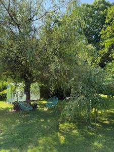 two chairs sitting in the grass under a tree at Arduinna's Nest B&B in Neufchâteau
