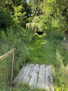 a garden with a wooden bridge in the grass at Arduinna's Nest B&B in Neufchâteau