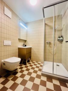 ein Badezimmer mit Toilette und Dusche in der Unterkunft central bijou in Thun + 26 Fotos