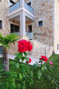 A garden outside Villa Unique