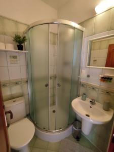 a bathroom with a shower and a toilet and a sink at Penzion Mystery in Vyšné Ružbachy