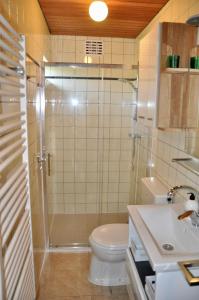 une salle de bains avec douche, toilettes et lavabo dans l'établissement Boerenslag 48, à Sint Maartensvlotbrug
