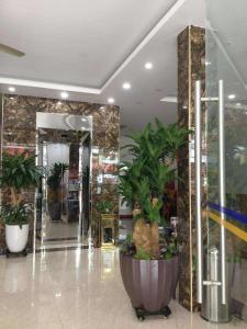 a lobby with plants in a store at Ngọc Bích Luxury in Cat Ba