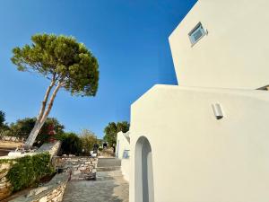 Imagen de la galería de Yaleena Residences, en Drios