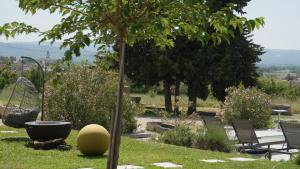 マザンにあるDomaine du Piol - Luberon - Piscine privée - Clim - Beach Volleyの草の中に大きな黄色いボールがある木