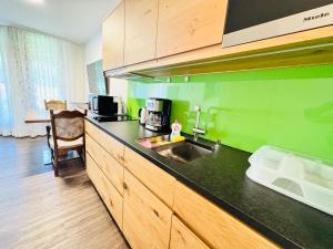a kitchen with a sink and a green wall at Michels Apartment in Titisee-Neustadt