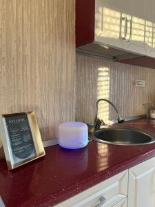 Una encimera de cocina con un fregadero y una encimera con un electrodoméstico. en 2 Bedroom Apartament, FREE Parking, en Arad 17 fotos más