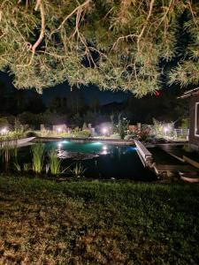 ein beleuchteter Pool in einem Garten bei Nacht in der Unterkunft Scent yard in Marijampolė