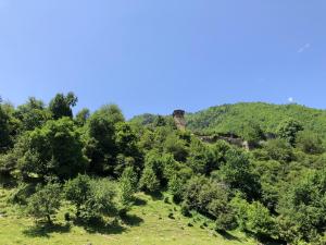 Paesaggio naturale nelle vicinanze dell'hotel