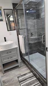 a bathroom with a shower and a sink at Alanas house in Denver +10 photos