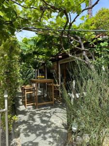 Κήπος έξω από το Villa Bruna B&B